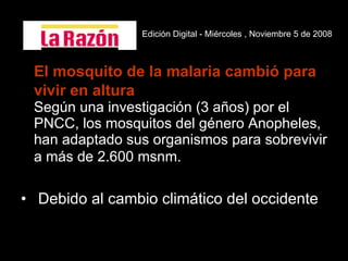 El mosquito de la malaria cambió para vivir en altura   Según una investigación (3 años) por el PNCC, los mosquitos del género Anopheles, han adaptado sus organismos para sobrevivir a más de 2.600 msnm.   Debido al cambio climático del occidente  Edición Digital - Miércoles , Noviembre 5 de 2008   