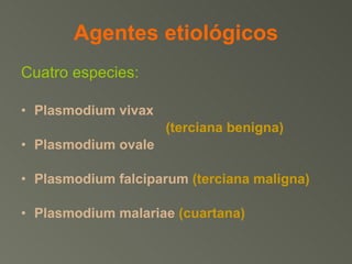 Agentes etiológicos Cuatro especies: Plasmodium vivax     (terciana benigna) Plasmodium ovale Plasmodium falciparum   (terciana maligna) Plasmodium malariae   (cuartana) 