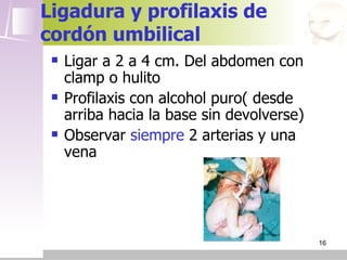 Ligadura y profilaxis de
cordón umbilical
    Ligar a 2 a 4 cm. Del abdomen con
     clamp o hulito
    Profilaxis con alcohol puro( desde
     arriba hacia la base sin devolverse)
    Observar siempre 2 arterias y una
     vena




                                            16
 