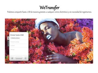 WeTransfer
Podemos compartir hasta 2 GB de manera gratuita a cualquier correo electrónico y sin necesidad de registrarnos.
 