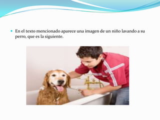  En el texto mencionado aparece una imagen de un niño lavando a su
perro, que es la siguiente.
 