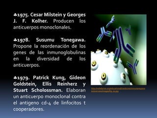 1882. ElieMetchnikoffEstudia la fagocitosis y propone que la inmunidad tiene fundamentalmente una base celular.(Inmunidad celular).1898. Paul Erlich postula la teoría de la cadena lateral (receptor para antígenos) en la superficie de células que al estimularse se producía en gran cantidad y que esa cadena se secretaba. (Inmunidad humoral).http://www.nature.com/ni/journal/v4/n1/images/ni0103-3-I1.jpg