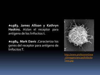 1900. Karl Landsteiner. Descubre los grupos sanguíneos y sus aglutininas.