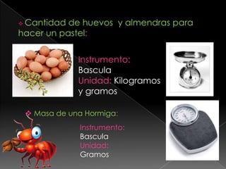 Cantidad de huevos  y almendras para hacer un pastel:Instrumento: BasculaUnidad: Kilogramos y gramosMasa de una Hormiga:Instrumento: BasculaUnidad: Gramos 