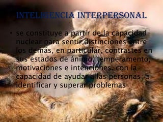Inteligencia interpersonal
• se constituye a partir de la capacidad
  nuclear para sentir distinciones entre
  los demás, en particular, contrastes en
  sus estados de ánimo, temperamento,
  motivaciones e intenciones. con la
  capacidad de ayudar a las personas a
  identificar y superar problemas
 