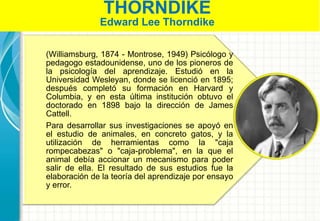THORNDIKE
Edward Lee Thorndike
(Williamsburg, 1874 - Montrose, 1949) Psicólogo y
pedagogo estadounidense, uno de los pioneros de
la psicología del aprendizaje. Estudió en la
Universidad Wesleyan, donde se licenció en 1895;
después completó su formación en Harvard y
Columbia, y en esta última institución obtuvo el
doctorado en 1898 bajo la dirección de James
Cattell.
Para desarrollar sus investigaciones se apoyó en
el estudio de animales, en concreto gatos, y la
utilización de herramientas como la "caja
rompecabezas" o "caja-problema", en la que el
animal debía accionar un mecanismo para poder
salir de ella. El resultado de sus estudios fue la
elaboración de la teoría del aprendizaje por ensayo
y error.
 