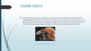 TEORÍA FIJISTA
 La teoría fijista expresa que todos los organismos del planeta fueron originados
independientemente el uno del otro. Es decir, la vida no tuvo un origen único, sino
que cada especie se creó por separado. Según este concepto, el proceso evolutivo
no existió: las especies nunca cambiaron de forma a lo largo de su existencia.
https://www.caracteristicas.co/evolucion-del-hombre/
 