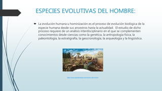 ESPECIES EVOLUTIVAS DEL HOMBRE:
 La evolución humana u hominización es el proceso de evolución biológica de la
especie humana desde sus ancestros hasta la actualidad. El estudio de dicho
proceso requiere de un análisis interdisciplinario en el que se complementen
conocimientos desde ciencias como la genética, la antropología física, la
paleontología, la estratigrafía, la geocronología, la arqueología y la lingüística.
https://www.caracteristicas.co/evolucion-del-hombre
 