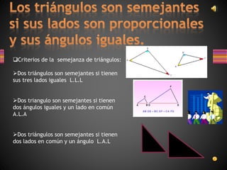 Criterios de la semejanza de triángulos:
Dos triángulos son semejantes si tienen
sus tres lados iguales L.L.L
Dos triangulo son semejantes si tienen
dos ángulos iguales y un lado en común
A.L.A
Dos triángulos son semejantes si tienen
dos lados en común y un ángulo L.A.L