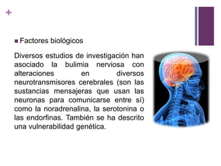+
 Factores biológicos
Diversos estudios de investigación han
asociado la bulimia nerviosa con
alteraciones en diversos
neurotransmisores cerebrales (son las
sustancias mensajeras que usan las
neuronas para comunicarse entre sí)
como la noradrenalina, la serotonina o
las endorfinas. También se ha descrito
una vulnerabilidad genética.
 