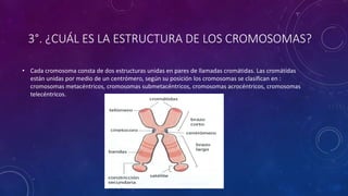 3°. ¿CUÁL ES LA ESTRUCTURA DE LOS CROMOSOMAS?
• Cada cromosoma consta de dos estructuras unidas en pares de llamadas cromátidas. Las cromátidas
están unidas por medio de un centrómero, según su posición los cromosomas se clasifican en :
cromosomas metacéntricos, cromosomas submetacéntricos, cromosomas acrocéntricos, cromosomas
telecéntricos.
 