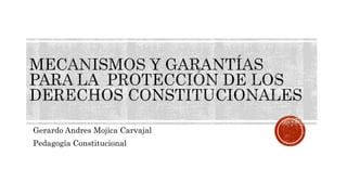 Gerardo Andres Mojica Carvajal
Pedagogía Constitucional
 
