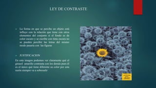 LEY DE CONTRASTE
 La forma en que se percibe un objeto está
influye con la relación que tiene con otros
elementos del conjunto si el fondo es de
color oscuro y se escribe con tinta oscura no
se pueden percibir las letras del mismo
modo pasaría con las figuras
 JUSTIFICACION
En esta imagen podemos ver claramente qué el
girasol amarillo contrasta con los demás pues él
es el único qué tiene diferente su color por esta
razón siempre va a sobresalir
 