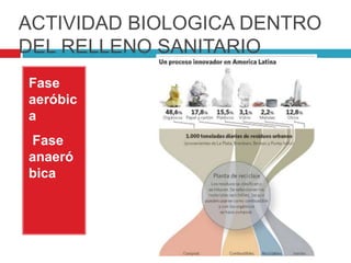 ACTIVIDAD BIOLOGICA DENTRO
DEL RELLENO SANITARIO
Fase
aeróbic
a
Fase
anaeró
bica
 