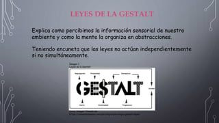LEYES DE LA GESTALT
Explica como percibimos la información sensorial de nuestro
ambiente y como la mente la organiza en abstracciones.
Teniendo encuneta que las leyes no actúan independientemente
si no simultáneamente.
Imagen 1
Leyes de la Gestalt
Nota: Imagen Tomada de
https://viviendolasalud.com/psicologia/psicologia-gestalt-leyes:
 