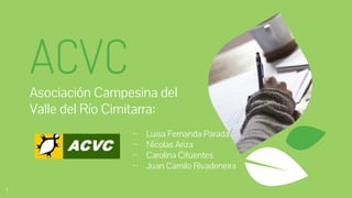 ACVC
Asociación Campesina del
Valle del Río Cimitarra:
1
⊷ Luisa Fernanda Parada
⊷ Nicolas Ariza
⊷ Carolina Cifuentes
⊷ Juan Camilo Rivadeneira
 