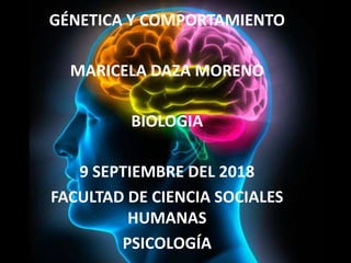 GÉNETICA Y COMPORTAMIENTO
MARICELA DAZA MORENO
BIOLOGIA
9 SEPTIEMBRE DEL 2018
FACULTAD DE CIENCIA SOCIALES
HUMANAS
PSICOLOGÍA
 