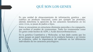 QUÉ SON LOS GENES
Es una unidad de almacenamiento de información genética , que
codifica un producto funcional, como por ejemplo las proteínas,
además determina la aparición de los caracteres hereditarios en los
seres vivos, se pasan de padres a hijos.
Estos se encuentran en estructuras diminutas parecidas a los espaguetis,
que reciben el nombre de cromosomas. Tanto los cromosomas como
los genes están hechos de ADN, ( Acido desoxirribonucleico).
En la genética Cuantitativa y Molecular, se han dado cuenta que los
genes juegan un papel importante en la conducta humana y así mismo
se evidencia, sobre la importancia del ambiente en los diferencias
individuales de los caracteres psicológicos.
 