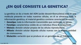 ¿EN QUÉ CONSISTE LA GENETICA?
La genética se da a través del ADN (acido desoxirribonucleico) este es una
molécula presente en todas nuestras células, en él se almacena toda la
información genética, el material genético contiene características como:
• Genotipo: toda la información transmisible que contienen los genes.
• Fenotipo: característica visible de un individuo (física o conductual).
• Meiosis: división celular propias de las células reproductoras.
• Mitosis: división celular dejando células nuevas con la misma cantidad
de cromosomas.
• Mutación: variación que se produce en un genotipo de un individuo
 