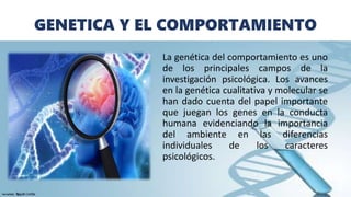 GENETICA Y EL COMPORTAMIENTO
La genética del comportamiento es uno
de los principales campos de la
investigación psicológica. Los avances
en la genética cualitativa y molecular se
han dado cuenta del papel importante
que juegan los genes en la conducta
humana evidenciando la importancia
del ambiente en las diferencias
individuales de los caracteres
psicológicos.
 