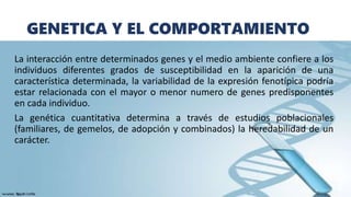 GENETICA Y EL COMPORTAMIENTO
La interacción entre determinados genes y el medio ambiente confiere a los
individuos diferentes grados de susceptibilidad en la aparición de una
característica determinada, la variabilidad de la expresión fenotípica podría
estar relacionada con el mayor o menor numero de genes predisponentes
en cada individuo.
La genética cuantitativa determina a través de estudios poblacionales
(familiares, de gemelos, de adopción y combinados) la heredabilidad de un
carácter.
 