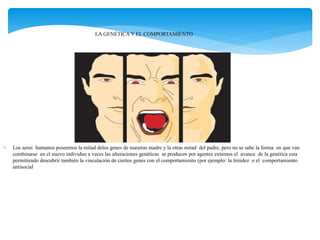  Los seres humanos poseemos la mitad delos genes de nuestras madre y la otras mitad del padre, pero no se sabe la forma en que van
combinarse en el nuevo individuo a veces las alteraciones genéticas se producen por agentes externos el avance de la genética esta
permitiendo descubrir también la vinculación de ciertos genes con el comportamiento (por ejemplo: la timidez o el comportamiento
antisocial
LA GENÉTICA Y EL COMPORTAMIENTO
 