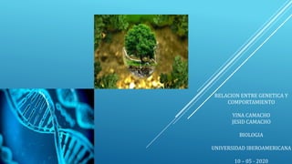 RELACION ENTRE GENETICA Y
COMPORTAMIENTO
YINA CAMACHO
JESID CAMACHO
BIOLOGIA
UNIVERSIDAD IBEROAMERICANA
10 – 05 - 2020
 