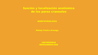 función y localización anatómica
de los pares craneales
Nataly Castro Arteaga
MORFOFISIOLOGÍA
UNIVERSIDAD
IBEROAMERICANA
 