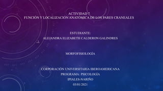 ACTIVIDAD 7
FUNCIÓN Y LOCALIZACIÓN ANATÓMICA DE LOS PARES CRANEALES
ESTUDIANTE:
ALEJANDRA ELIZABETH CALDERON GALINDRES
MORFOFISIOLOGÍA
CORPORACIÓN UNIVERSITARIA IBEROAMERICANA
PROGRAMA: PSICOLOGÍA
IPIALES-NARIÑO
03/01/2021
 
