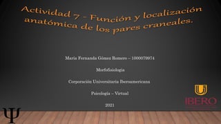 María Fernanda Gómez Romero – 1000079974
Morfofisiologia
Corporación Universitaria Iberoamericana
Psicología – Virtual
2021
 