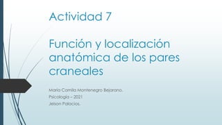Actividad 7
Función y localización
anatómica de los pares
craneales
María Camila Montenegro Bejarano.
Psicología – 2021
Jeison Palacios.
 