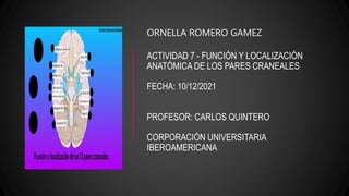 ORNELLA ROMERO GAMEZ
ACTIVIDAD 7 - FUNCIÓN Y LOCALIZACIÓN
ANATÓMICA DE LOS PARES CRANEALES
FECHA: 10/12/2021
PROFESOR: CARLOS QUINTERO
CORPORACIÓN UNIVERSITARIA
IBEROAMERICANA
 