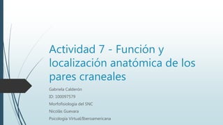 Actividad 7 - Función y
localización anatómica de los
pares craneales
Gabriela Calderón
ID: 100097579
Morfofisiología del SNC
Nicolás Guevara
Psicología Virtual/Iberoamericana
 