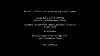 Actividad 7 - Función y localización anatómica de los pares craneales
Mary Luz Suárez Marín ID 100093992
Orlys Orleys Osorio Coronado 100095132
Facultad de Ciencias Humanas y Sociales, Corporación Universitaria
Iberoamericana
Morfofisiología
Psicólogo, Magister en Neuropsicología Clínica
Jeison Fabian Palacios Fajardo
08 de agosto 2021
 