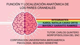 FUNCIÓN Y LOCALIZACIÓN ANATÓMICA DE
LOS PARES CRANEALES
INTEGRANTES:
KAROL NATALIA CAVAS ORTIS
MAYERLY GARAVITO RAMIREZ
CORPORACION UNIVERSITARIA IBEROAMERICA
PSICOLOGIA, SEGUNDO SEMESTRE
TUTOR: CARLOS QUINTERO
MORFOFISIOLOGIA DEL SNC
 