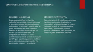 GENETICA DEL COMPORTAMIENTO Y SUS DISCIPLINAS
GENETICA MOLECULAR
Los avances científicos en Genética
molecular han permitido el conocimiento de
la secuencia completa del genoma humano,
facilitando la localización e identificación de
genes, sin embargo aún no se conoce la
totalidad de proteínas codificadas por los
mismos y la relación entre éstas y el
comportamiento humano. El avance
científico en este sentido aportará marcadores
de ADN para identificar genotipos medibles,
que se utilizarán para comprender las vías
que conectan los genes y la conducta.
GENETICA CUANTITATIVA
Determina, a través de estudios poblacionales
(familiares, de gemelos, de adopción y
combinados), la heredabilidad)de un carácter.
Estimando (a partir de valores fenotípicos,
observables y medibles) las varianzas
genéticas y ambientales entre individuos, sin
identificar genes o ambientes concretos .
 