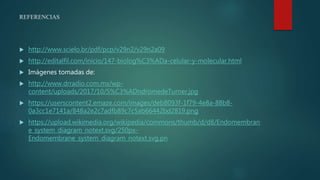REFERENCIAS
 http://www.scielo.br/pdf/pcp/v29n2/v29n2a09
 http://editalfil.com/inicio/147-biolog%C3%ADa-celular-y-molecular.html
 Imágenes tomadas de:
 http://www.drradio.com.mx/wp-
content/uploads/2017/10/S%C3%ADndromedeTurner.jpg
 https://userscontent2.emaze.com/images/deb8093f-1f79-4e8a-88b8-
0a3cc1e7141a/848a2e2c7adfb89c7c5ab66442bd2819.png
 https://upload.wikimedia.org/wikipedia/commons/thumb/d/d8/Endomembran
e_system_diagram_notext.svg/250px-
Endomembrane_system_diagram_notext.svg.pn
 