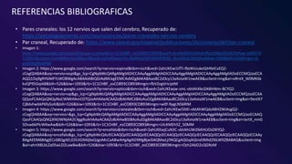 Actividad 7   morfisiologia