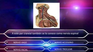 Actividad 7   morfisiologia