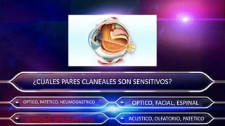 Actividad 7   morfisiologia