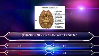 Actividad 7   morfisiologia