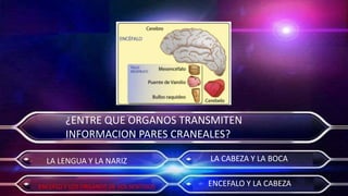 Actividad 7   morfisiologia