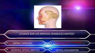 Actividad 7   morfisiologia