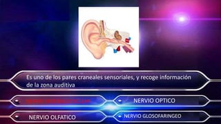 Actividad 7   morfisiologia