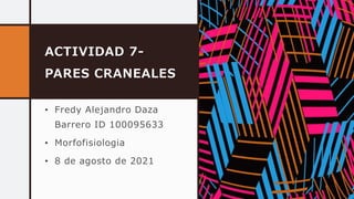 ACTIVIDAD 7-
PARES CRANEALES
• Fredy Alejandro Daza
Barrero ID 100095633
• Morfofisiologia
• 8 de agosto de 2021
 