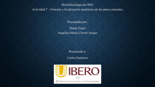 Morfofisiología del SNC
Actividad 7 – Función y localización anatómica de los pares craneales
Presentado por:
Diana Eraso
Angelica María Urresti Araujo
Presentado a:
Carlos Quintero
Psicología
 