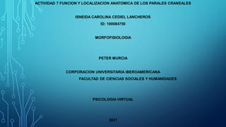 ACTIVIDAD 7 FUNCION Y LOCALIZACION ANATOMICA DE LOS PARALES CRANEALES
ISNEIDA CAROLINA CEDIEL LANCHEROS
ID: 100084750
MORFOFISIOLOGIA
PETER MURCIA
CORPORACION UNIVERSITARIA IBEROAMERICANA
FACULTAD DE CIENCIAS SOCIALES Y HUMANIDADES
PSICOLOGIA VIRTUAL
2021
 