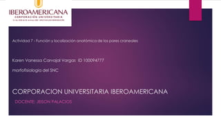 Actividad 7 - Función y localización anatómica de los pares craneales
Karen Vanessa Carvajal Vargas ID 100094777
morfofisiologia del SNC
CORPORACION UNIVERSITARIA IBEROAMERICANA
DOCENTE: JEISON PALACIOS
 
