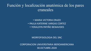 Función y localización anatómica de los pares
craneales
• MARIA VICTORIA ERAZO
• PAULA KATERINE VARGAS CORTEZ
• YERALDYN PATIÑO BENAVIDES
MORFOFISIOLOGIA DEL SNC
CORPORACION UNIVERSITARIA IBEROAMERICANA
30.OCTUBRE.2020
 