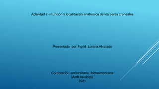 Actividad 7 - Función y localización anatómica de los pares craneales
Presentado por Íngrid Lorena Alvarado
Corporación universitaria iberoamericana
Morfo fisiología
2021
 